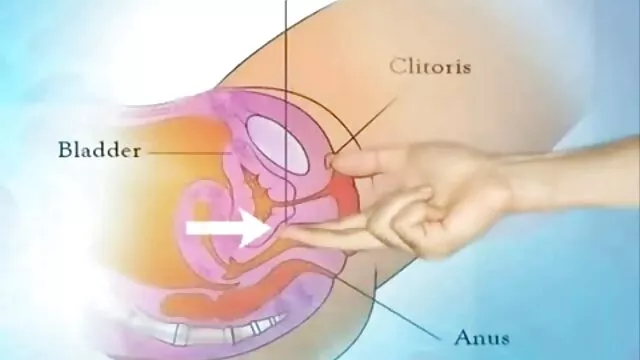 Nóng khiêu dâm, không giấy đăng ký  Oliana phim xex nhat ban