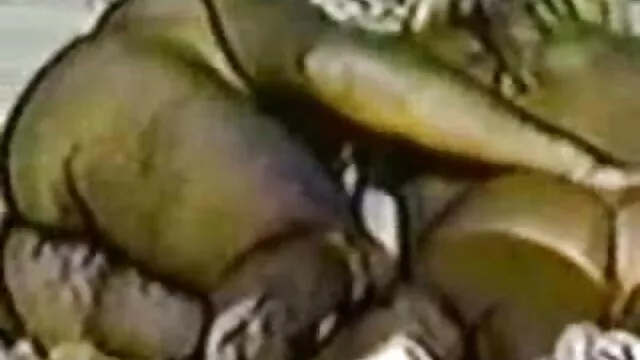 Nóng khiêu dâm, không giấy đăng ký  Các bạn xex nhật không che trai của mình và người yêu quý của mình, sau một bữa tiệc độc thân đầu tiên vào buổi sáng