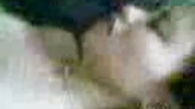 Nóng khiêu dâm, không giấy đăng ký  Các cô gái trẻ kiếm phim xex nhanh nhat với một âm vật rung và nhanh chóng đạt đến cực khoái, hiển thị ra ướt