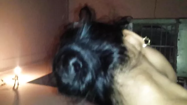Nóng khiêu dâm, không giấy đăng ký  Sân punk và nuôi người bạn của cậu bé bao phim xex nhật quanh các say rượu, mẹ, hãy cho anh ta thành một vòng tròn dẫn bởi ông.