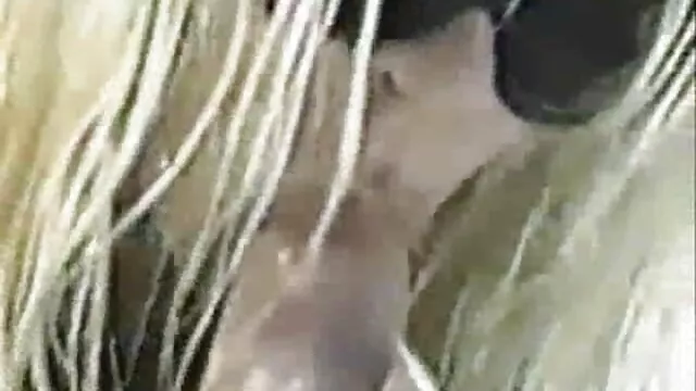 Nóng khiêu dâm, không giấy đăng ký  Kéo nhau bộ phận sinh dục của chờ phim xex nhat bản đợi để chuẩn bị cho tình dục